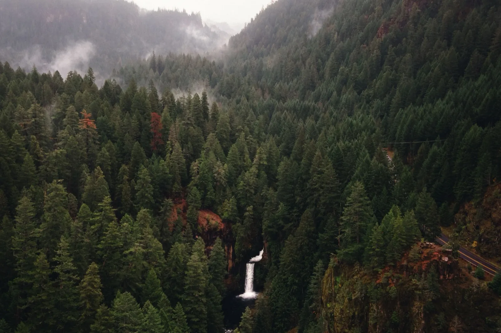 Oregon State University pilot programme